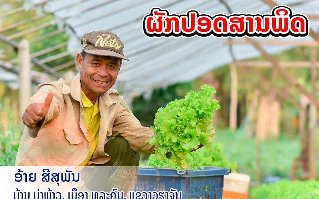 ສກຈຮ ເອກພັດທະນາ ຊ່ວຍໂຄສະນາຜັກປອດສານພິດ ໃຫ້ກັບລູກຄ້າຂອງສະຖາບັນ.